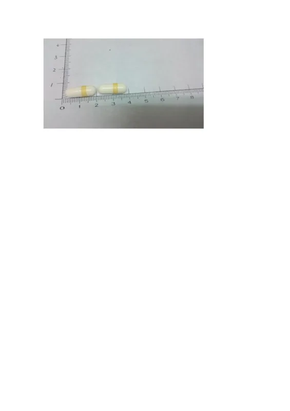"元宙"禮痛保膠囊外觀