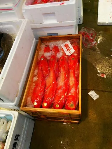 日本金目鯛 外包裝