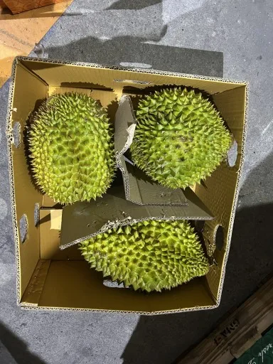 榴槤 外包裝