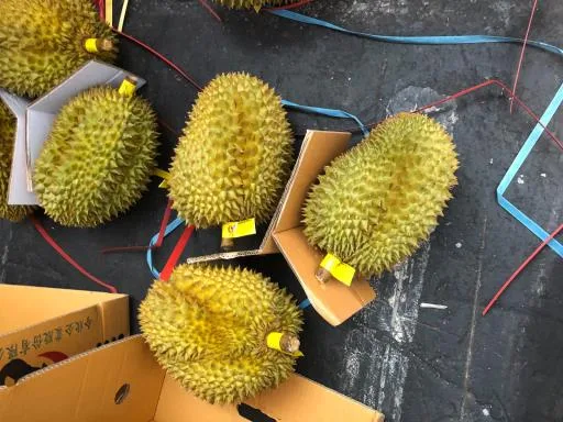 鮮榴槤 外包裝