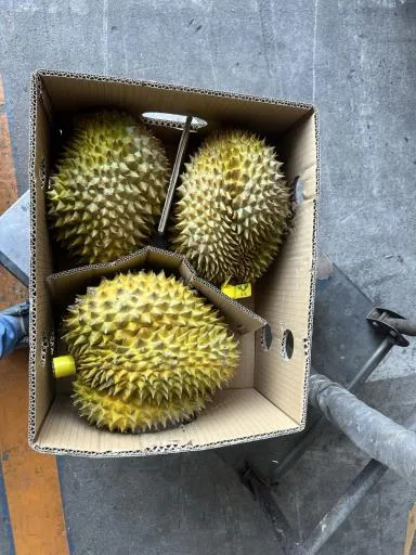 榴槤 外包裝