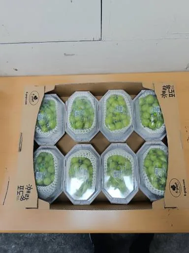 葡萄 外包裝