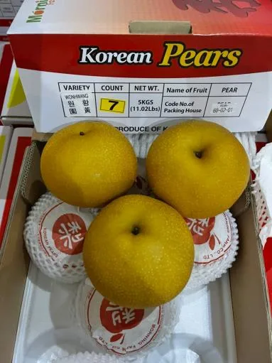 鮮梨 外包裝