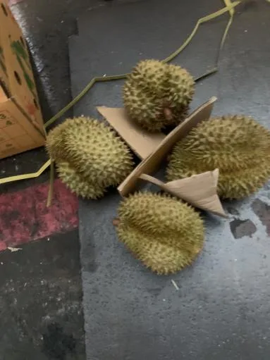 鮮榴槤 外包裝