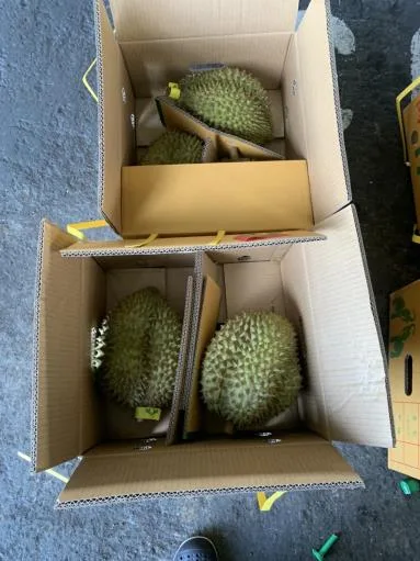 鮮榴槤 外包裝