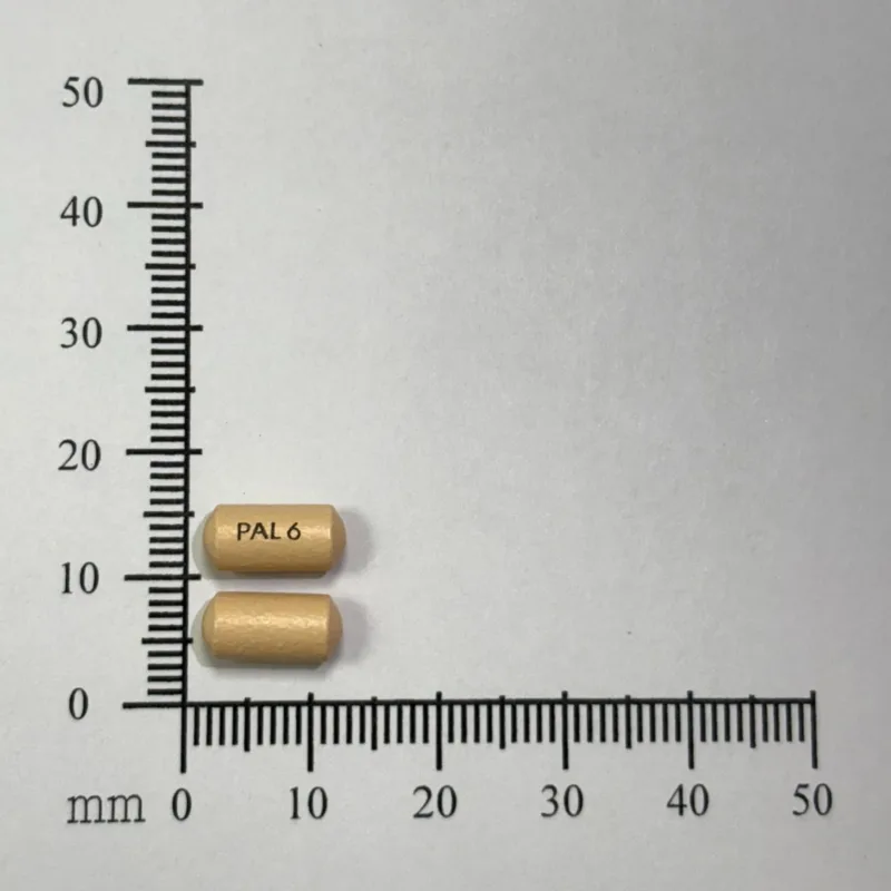 思維佳持續性藥效錠6毫克外觀