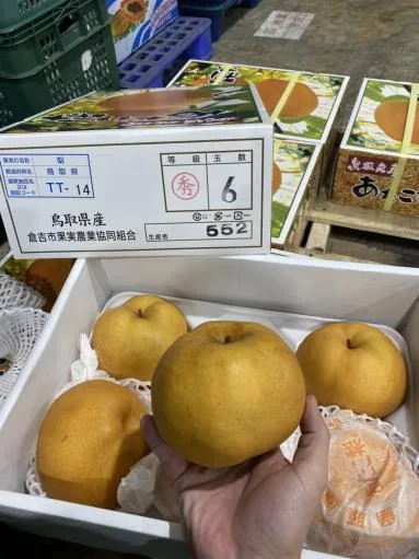 鮮梨 外包裝