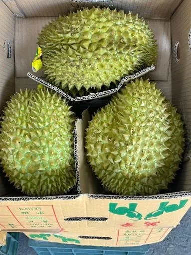 鮮榴槤 外包裝