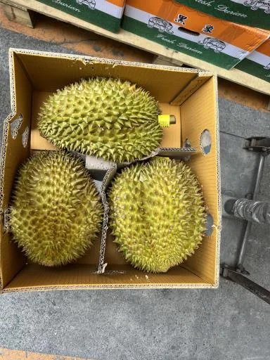 榴槤 外包裝
