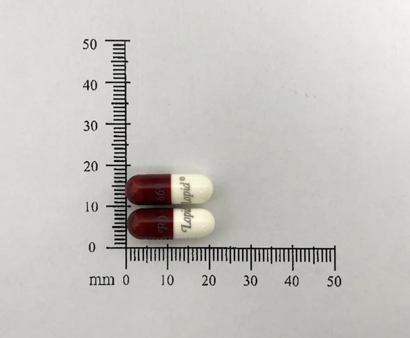 洛脂膠囊３００毫克（健菲布脂）外觀