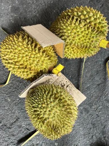 鮮榴槤 外包裝