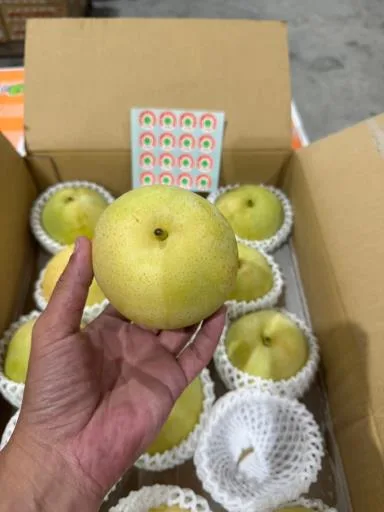 鮮梨 外包裝
