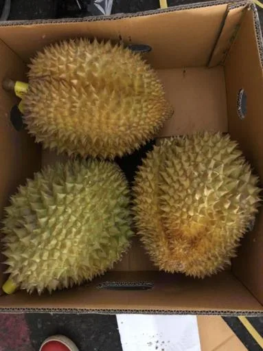 鮮榴槤 外包裝