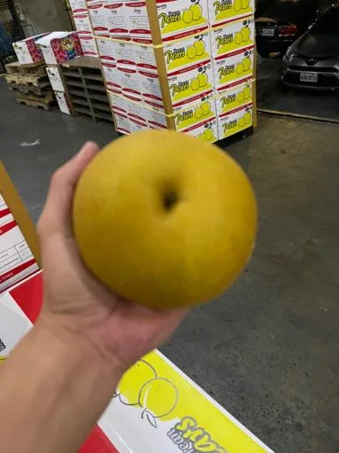 鮮梨 外包裝