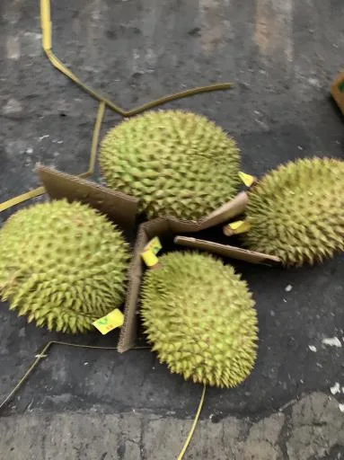 鮮榴槤 外包裝