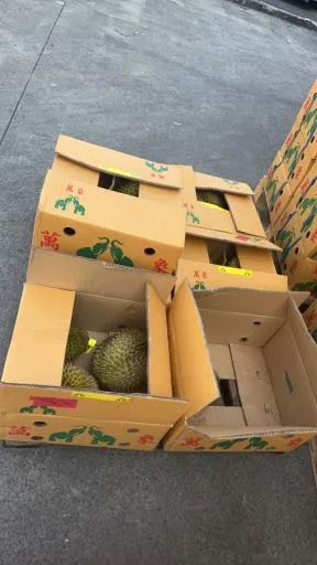 鮮榴槤 外包裝