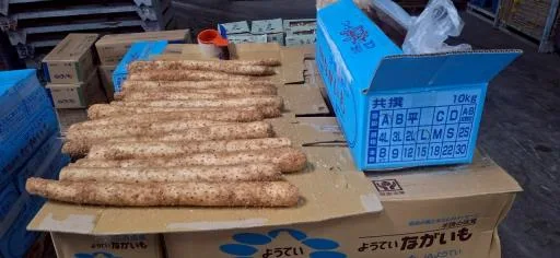 山藥 外包裝