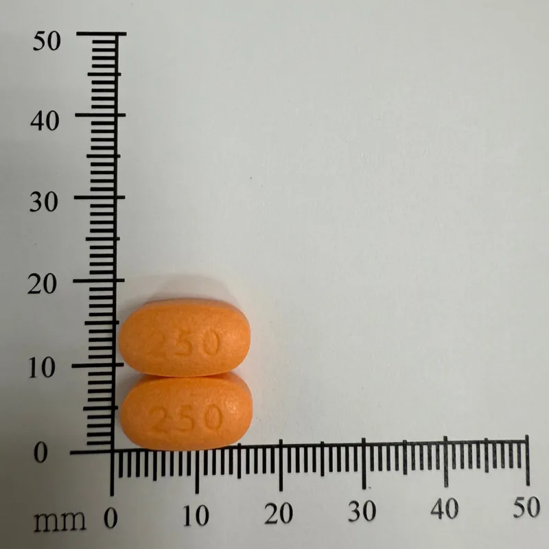 安保癲安腸溶錠250毫克外觀