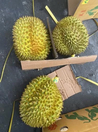 鮮榴槤 外包裝