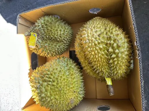 鮮榴槤 外包裝