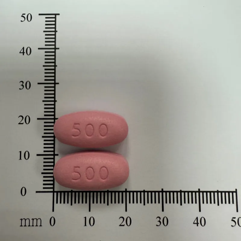 安保癲安腸溶膜衣錠 500毫克外觀