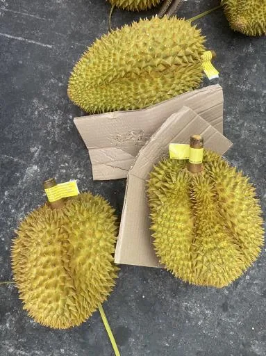 鮮榴槤 外包裝