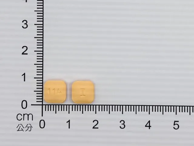 欣免喘膜衣錠10毫克外觀