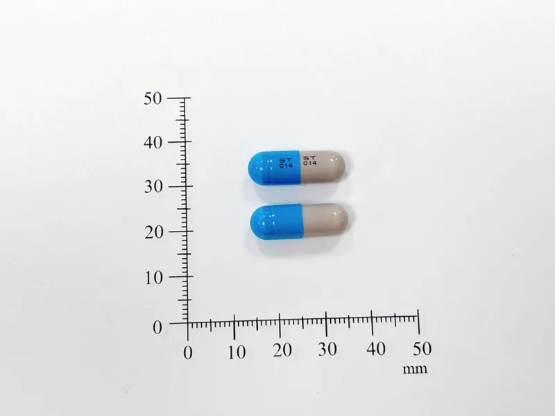"信東" 利速復膠囊500毫克（西華定）外觀