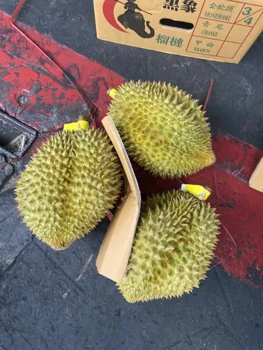 鮮榴槤 外包裝