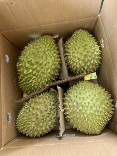 鮮榴槤 外包裝