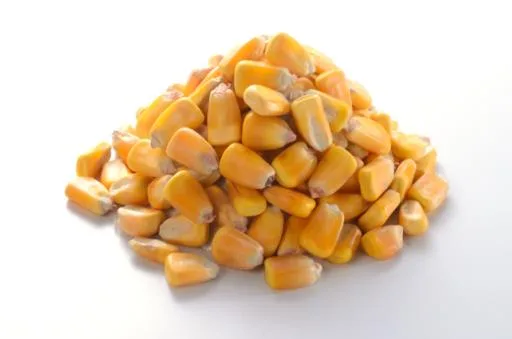 玉米 外包裝