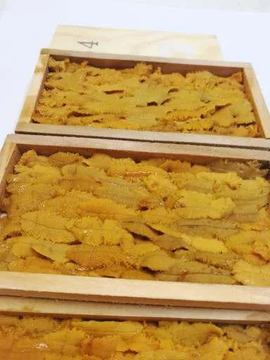 紫海膽 外包裝