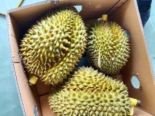 鮮榴槤 外包裝