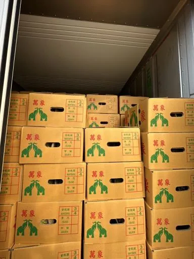 榴槤 外包裝