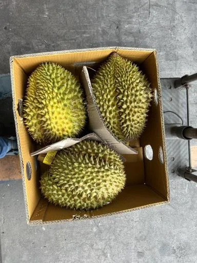 榴槤 外包裝