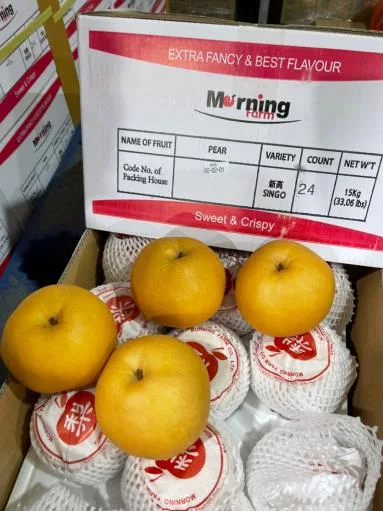 鮮梨 外包裝