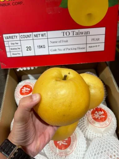鮮梨 外包裝