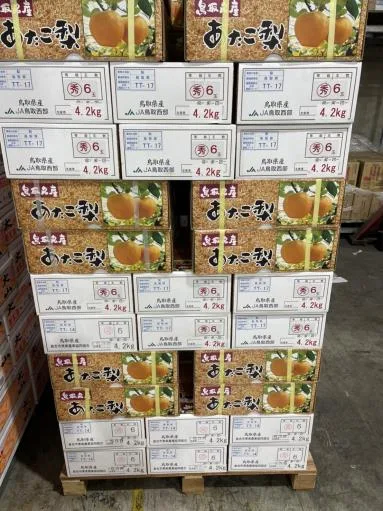 鮮梨 外包裝