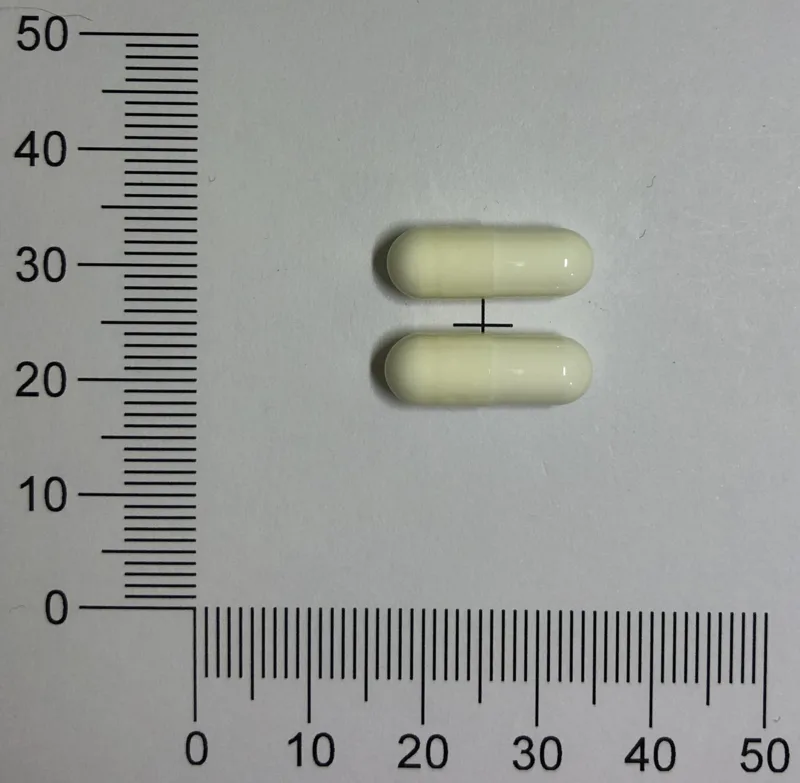 應莫何炎膠囊外觀