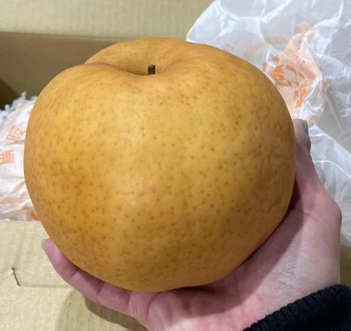 鮮梨 外包裝