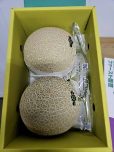 哈密瓜 外包裝