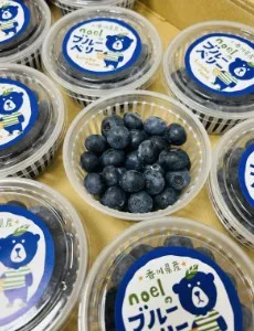 香川藍莓5P 外包裝