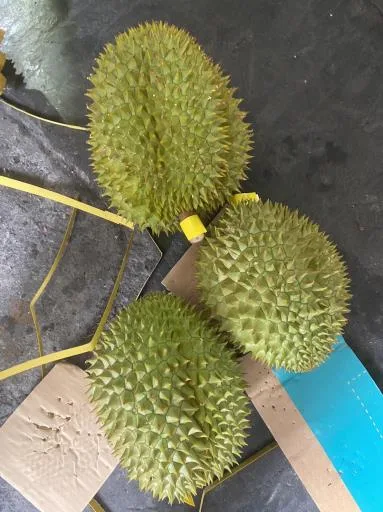 鮮榴槤 外包裝