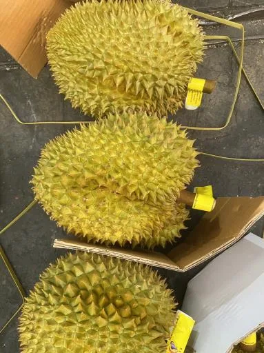 鮮榴槤 外包裝