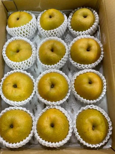 鮮梨 外包裝