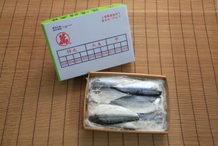 台灣鯖魚片6KG 外包裝