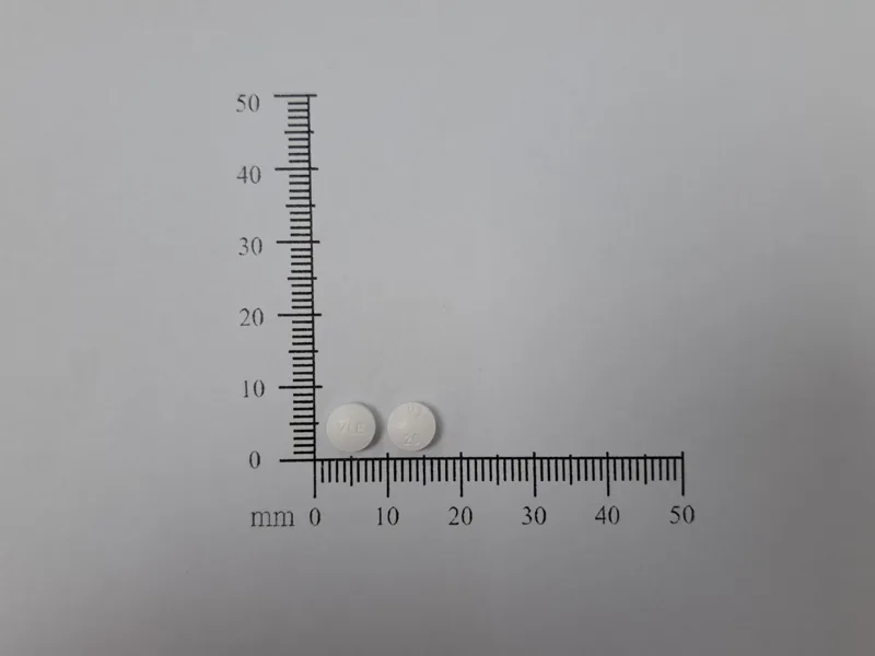瑞肺得膜衣錠20毫克外觀