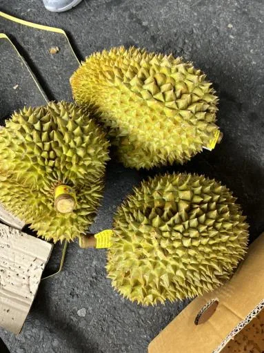 鮮榴槤 外包裝