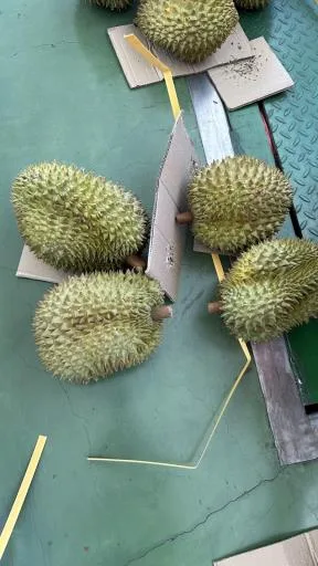 鮮榴槤 外包裝