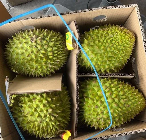 榴槤 外包裝